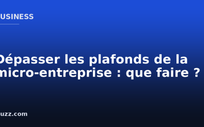 Dépasser les plafonds de la micro-entreprise : que faire ?